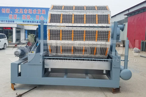 Get A Suitable Egg Tray Making Machine from Beston