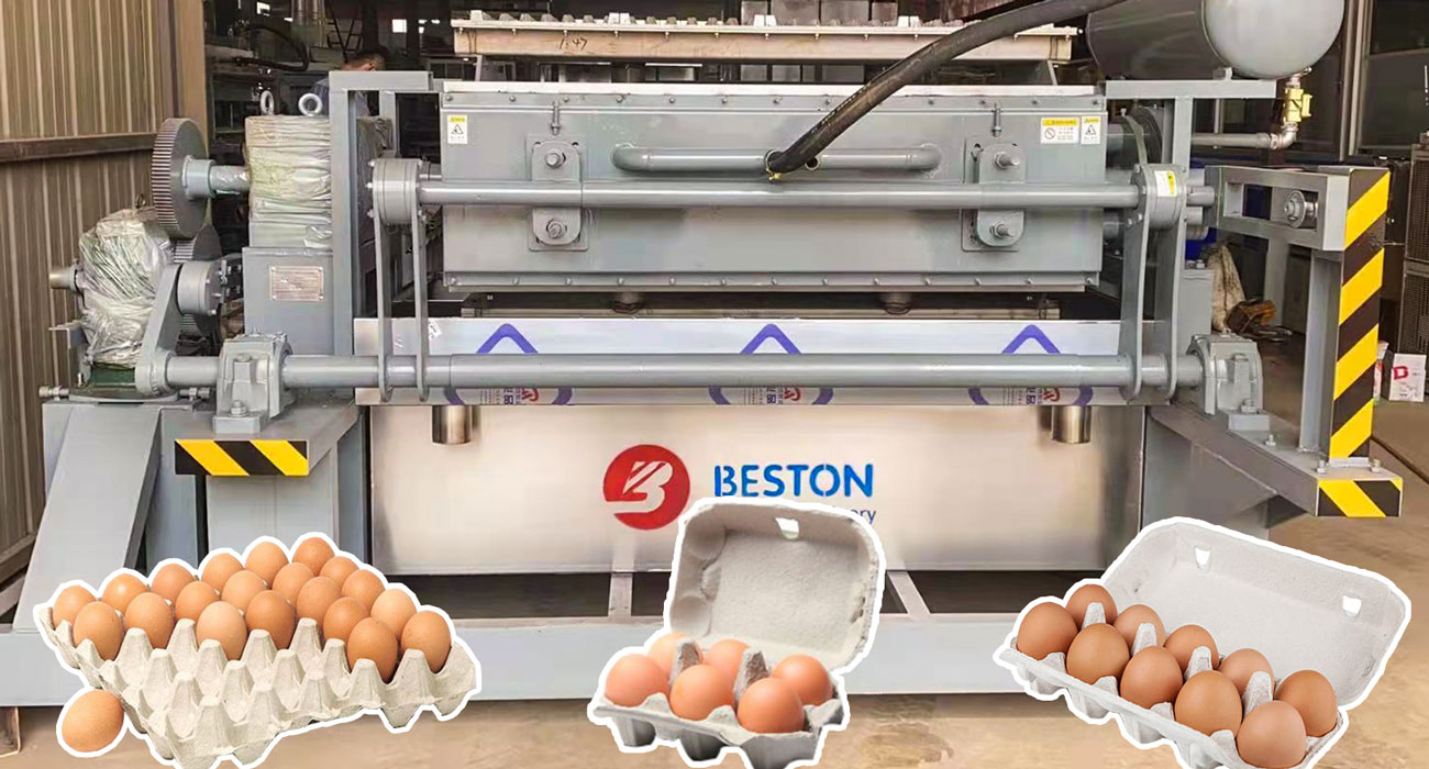 Start Egg Tray Making Business