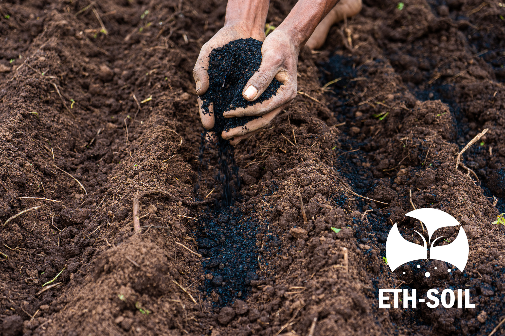 Biochar to Soil